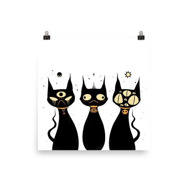 Wise Cats, Matte Art Print Poster