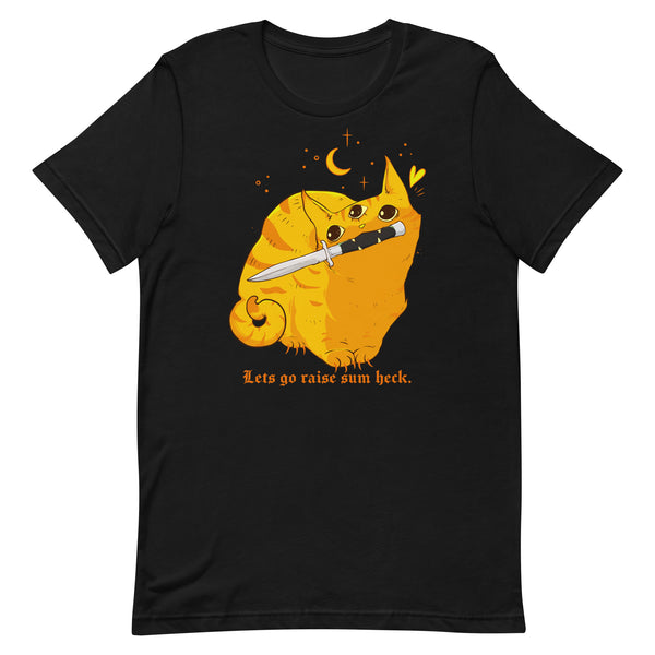 Raise Some Heck, Unisex T-Shirt featuring a cute orange cat illustration and playful text.