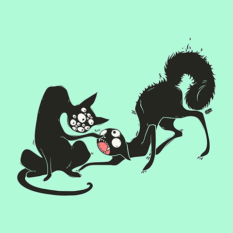 Two Strange Cats, Matte Art Print Poster