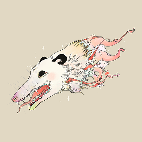 Opossum, Matte Art Print Poster
