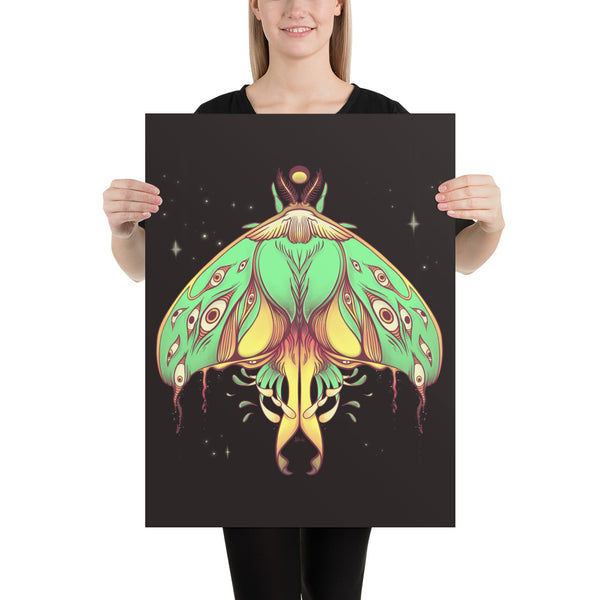 Luna Moth, Matte Art Print Poster