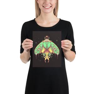 Luna Moth, Matte Art Print Poster