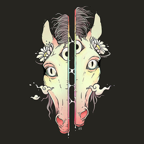 Split Face Horse, Matte Art Print Poster