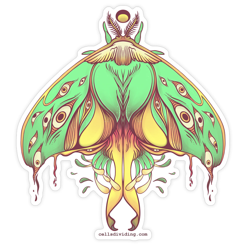 Luna Moth, Vinyl Sticker