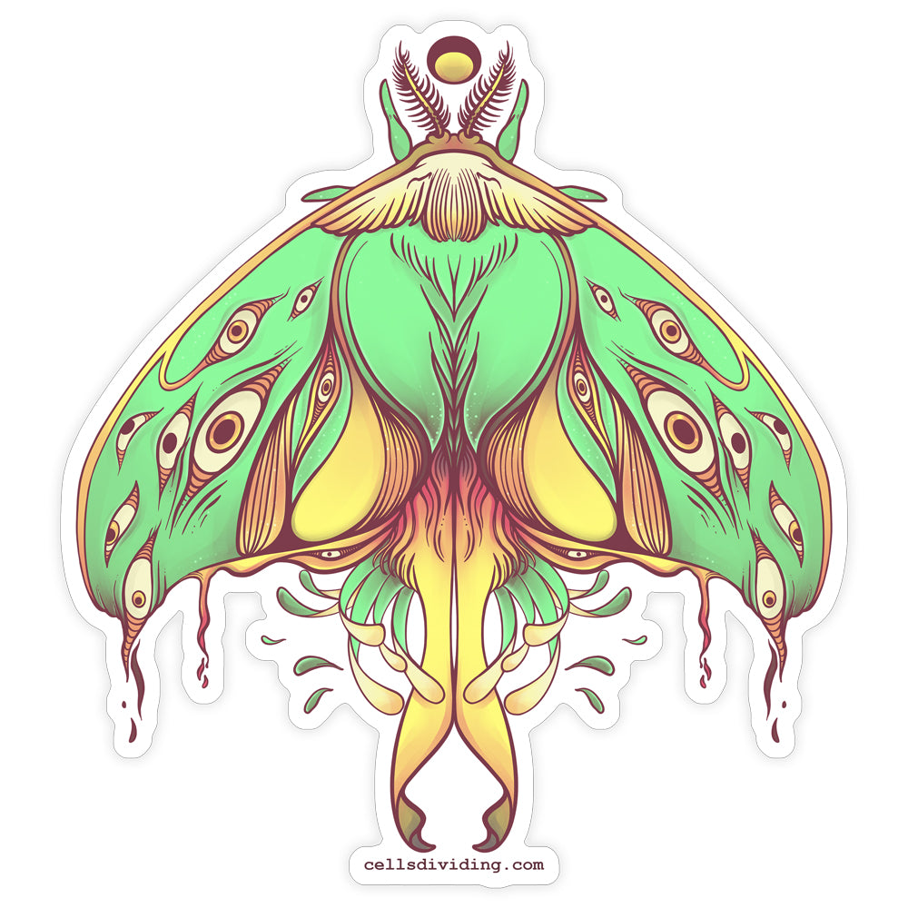 Luna Moth, Vinyl Sticker