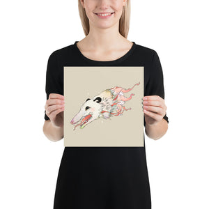 Opossum, Matte Art Print Poster